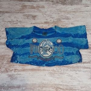 Vintage Sobe Surf Blue Tie Dye Crop Top